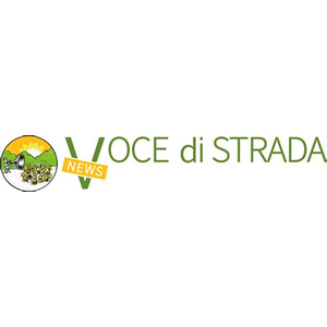 Vocedistrada.it